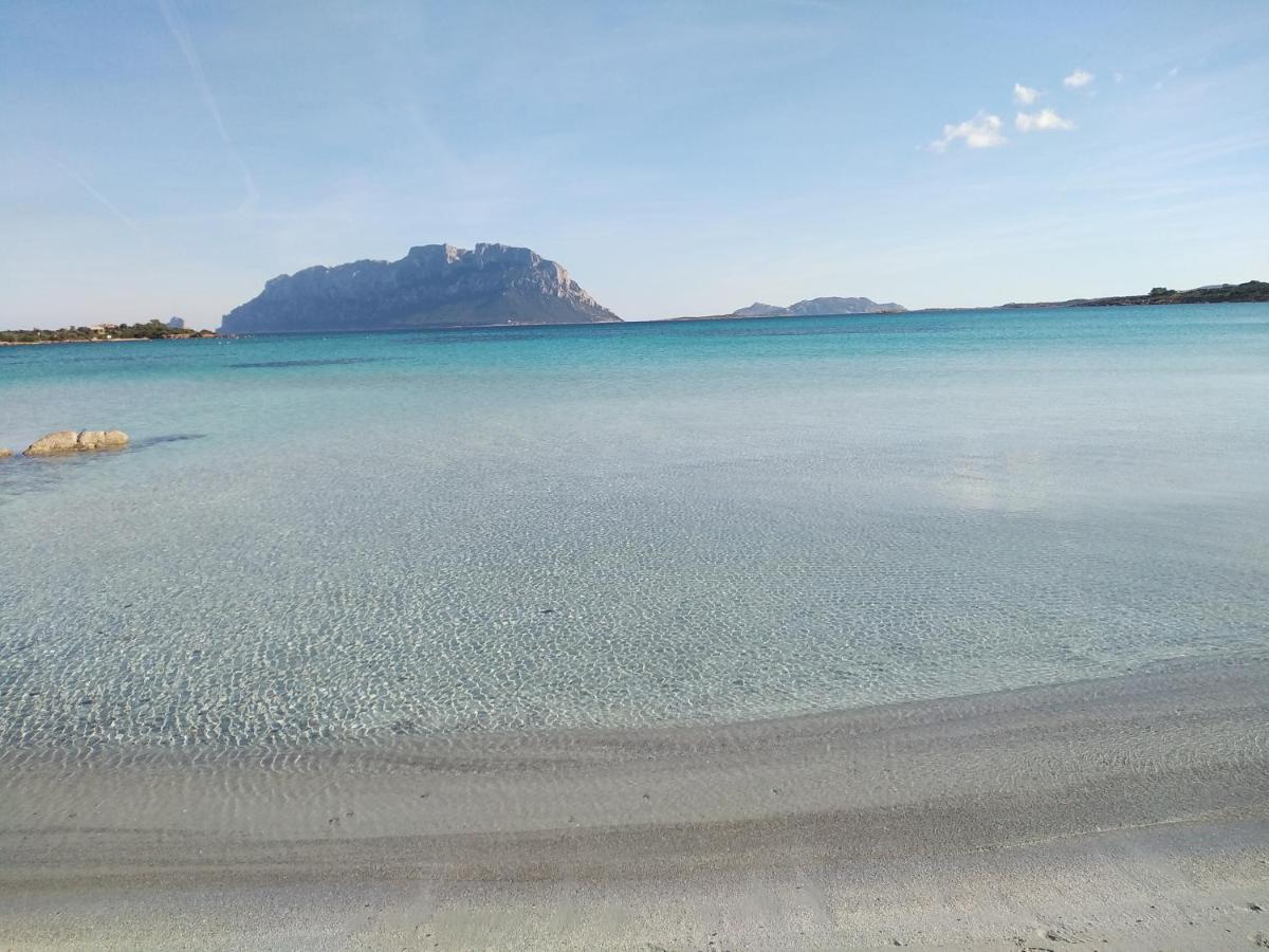 Aria Di - Bilandro Nord